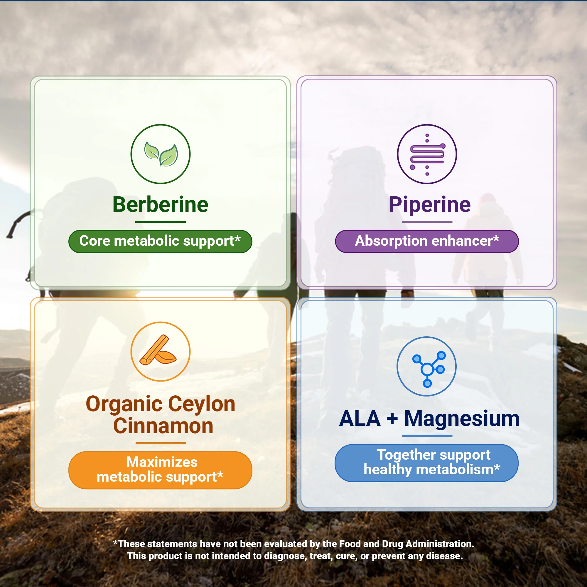 Dr. Berg Berberine with Ceylon Cinnamon - Image 8